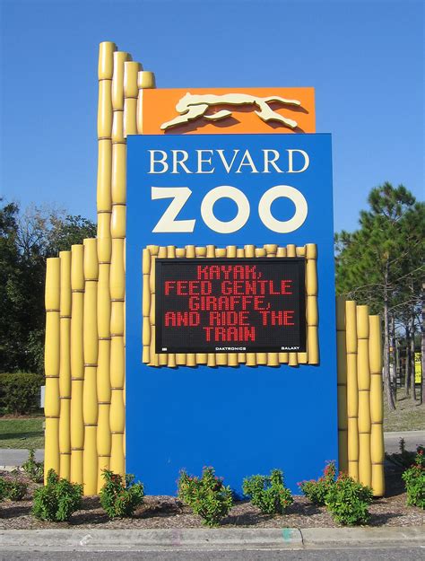 Brevard zoo - About. Explore the world of animals at Brevard Zoo, an internationally accredited facility home to giraffe, rhinos, big cats and hundreds of colorful parrots. Interactive experiences include giraffe and bird feedings, a children's water play area and kayaking around animal habitats. Duration: 1-2 hours.